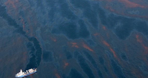 Do sławnego morskiego rezerwatu przyrody Scandola u wybrzeży Korsyki zbliża się ponad 40-kilometrowa plama ropy naftowej i innych paliw. Plamę zauważyły załogi helikopterów francuskiej żandarmerii morskiej.