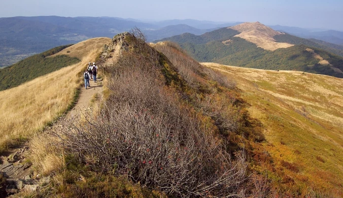 Jeśli nie Bałtyk i Tatry, to co? Wyniki II edycji plebiscytu