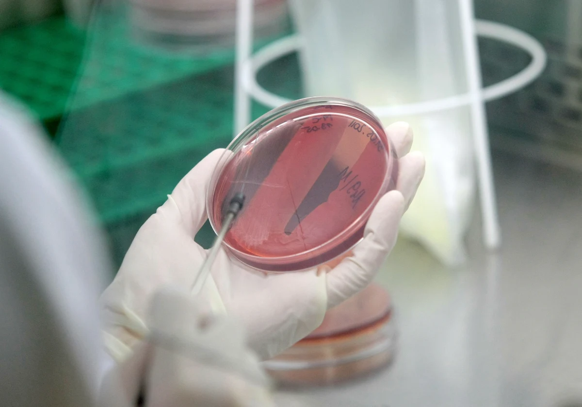 Woda z publicznego wodociągu w Drezdenku w Lubuskiem nie nadaje się do picia i celów gospodarczych. Sanepid stwierdził w niej obecność bakterii z grupy coli. Problem dotyka ok. 14 tys. osób.