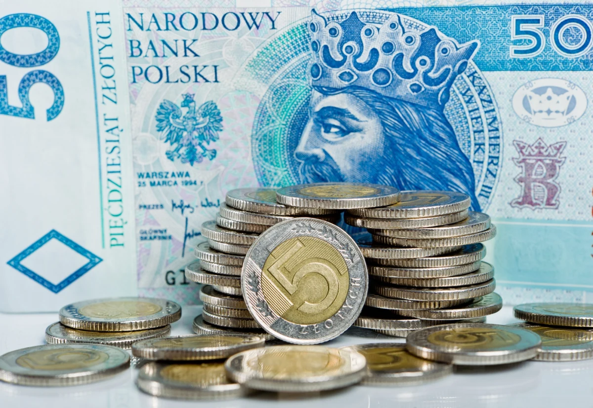 Po południu złoty umacniał się wobec głównych walut, po dwóch dniach spadków. Straty zaczęły odrabiać też indeksy warszawskiej giełdy. Zdaniem analityków umocnienie złotego to skutek danych zza oceanu, a na GPW jeszcze długo będą rządzić emocje. 