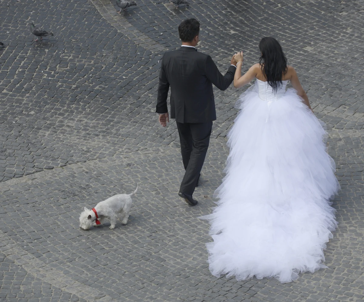Brytyjczycy zakochują się dwa razy szybciej niż ich rodzice - wynika z najnowszej ankiety przeprowadzonej wśród Wyspiarzy. Statystycznie serce kapituluje po otrzymaniu 224 twitów i 163 smsów. Nie musimy nawet sami ich pisać. Istnieje wiele programów, które automatycznie generują miłosne komunikaty.