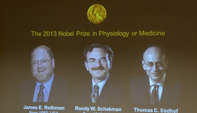 Przyznano Nagrodę Nobla w dziedzinie medycyny