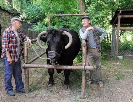 Zdjęcie ilustracyjne Blondynka odcinek 20 "Koleżka Pana Boga"