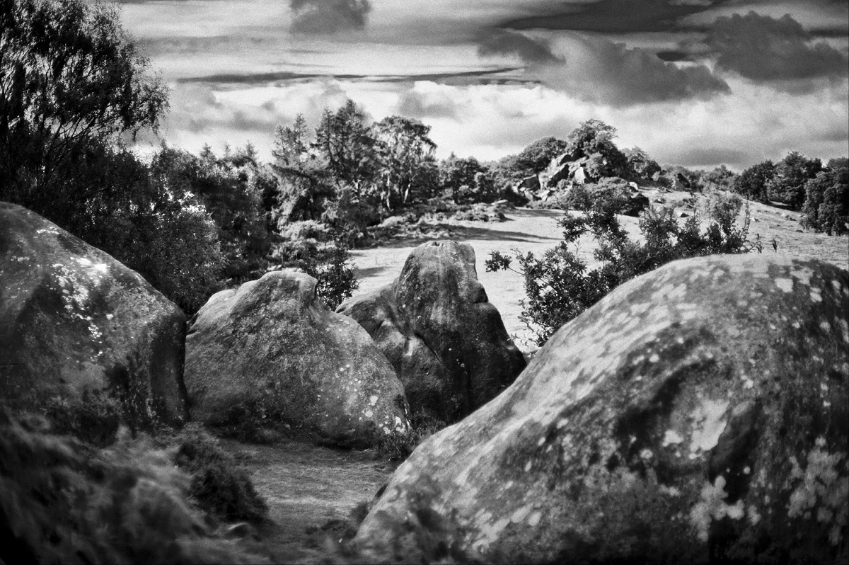 Wierzę głęboko, że wszyscy mamy w sobie antenę. To taka siatka utkana z emocji, która odbiera tajemnicze bodźce i posyła je dalej. Nie musimy jej nawet nazywać anteną, ani odbioru odbiorem. Dość, że świadomi jesteśmy jej istnienia, a co niezmiernie ważne, nie staramy się racjonalnie wytłumaczyć jak działa. To coś, co w określonej sytuacji zauważa bodziec i rozpoczyna tworzenie. Jedni robią to instynktownie, pędzlem na płótnie, inni żonglują słowami na kartce papieru. Jeszcze inni łapią w ten sposób światło obiektywem. To jak wejście w magnetyczne pole. Nie widać w nim wektorów siły, a jednak czujemy jak włosy stają nam dęba. Jeśli kiedykolwiek ściągaliście elastyczny sweter, wiecie, o czym piszę.