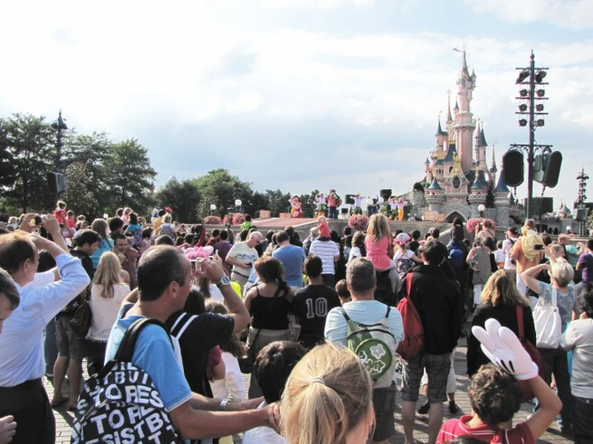 Bizon zasiał postrach w paryskim Disneylandzie. Uciekające zwierzę tratowało wszystko, co znalazło się na swojej drodze. Dyrekcja sławnego parku atrakcji apelowała do turystów, by nie wychodzili z hoteli.