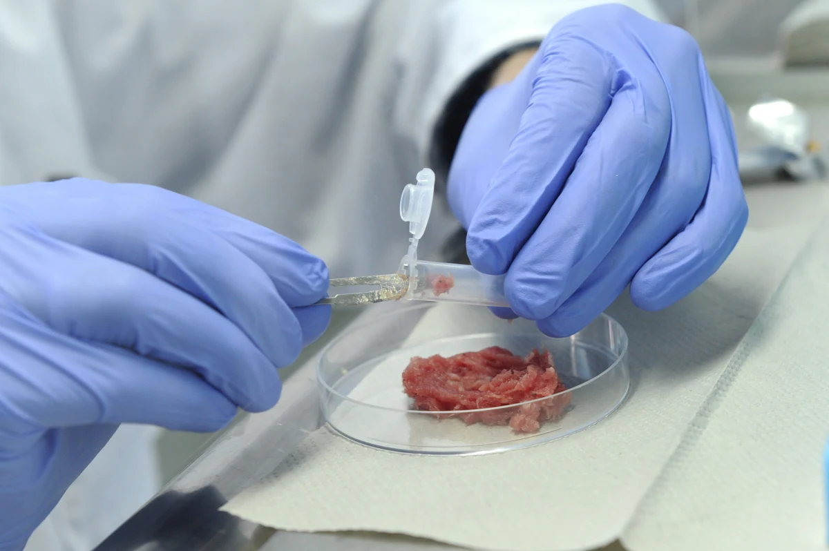 Szacuje się, że 165 osób straci pracę w związku z zamknięciem fabryki w Beauvais na północy Francji. Koncern Nestle informuje, że zamknięta zostanie tamtejsza fabryka mrożonek. 