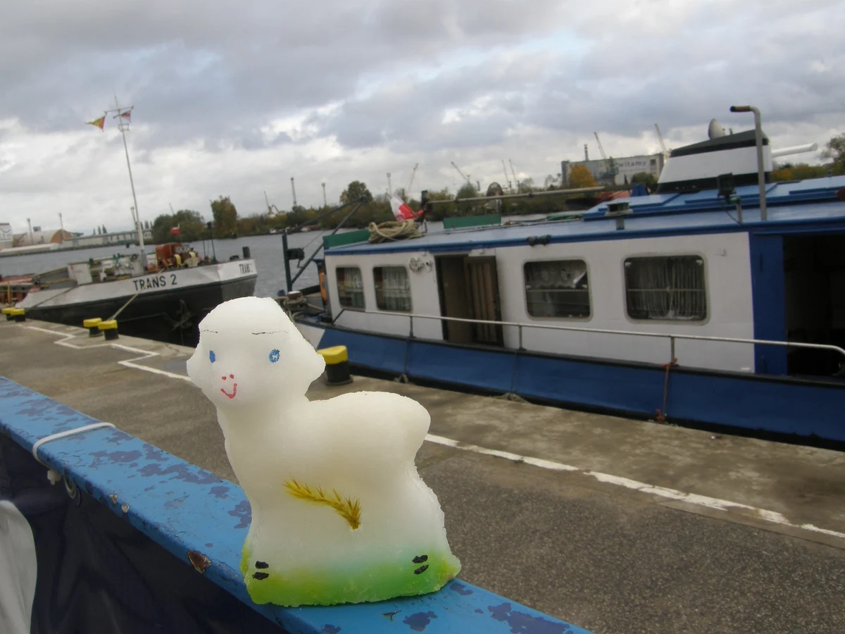 Wielkanocny baranek w październiku? To nie żart. Jeden z nich właśnie dał nogę ze sklepowej półki. Ale cóż ma robić nieboże, skoro świąteczne honory zacznie pełnić dopiero w kwietniu. By nie wszedł w szkodę, postanowiliśmy zafundować mu podróże - te małe, i te duże! Zaczęliśmy od wysokiego „C”, czyli od opery w Szczecinie. Co dalej? Gdzie pojawi się baran? Bądźcie czujni:) A może chcecie zaprosić go do siebie? 