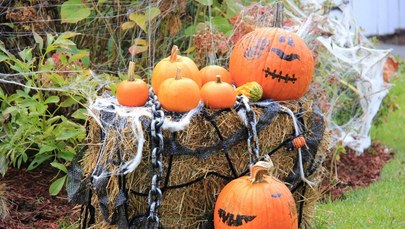 Halloween widać przed każdym domem