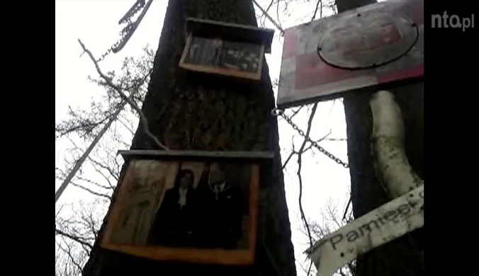 Postawił w lesie pomnik smoleński. Skazano go za zniszczenie mienia