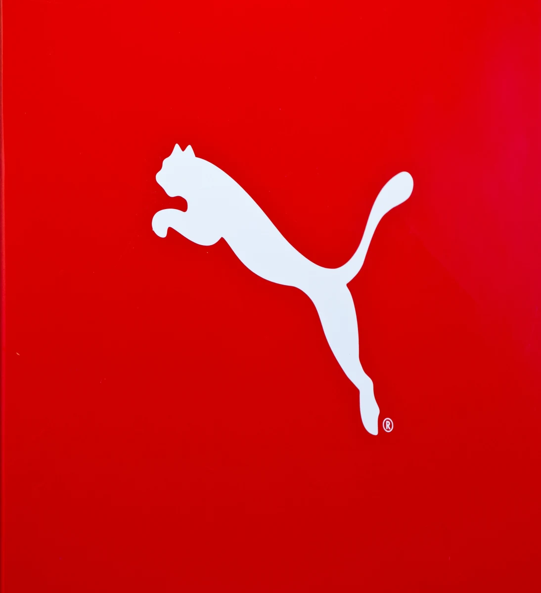 Unijny Sąd zabronił Polce używania loga łudząco podobnego do znaku towarowego Pumy. Polka twierdziła, że jej logo przedstawia "kota domowego w fazie lądowania na przysłowiowe cztery łapy", a nie dziką pumę w fazie wyskoku. 