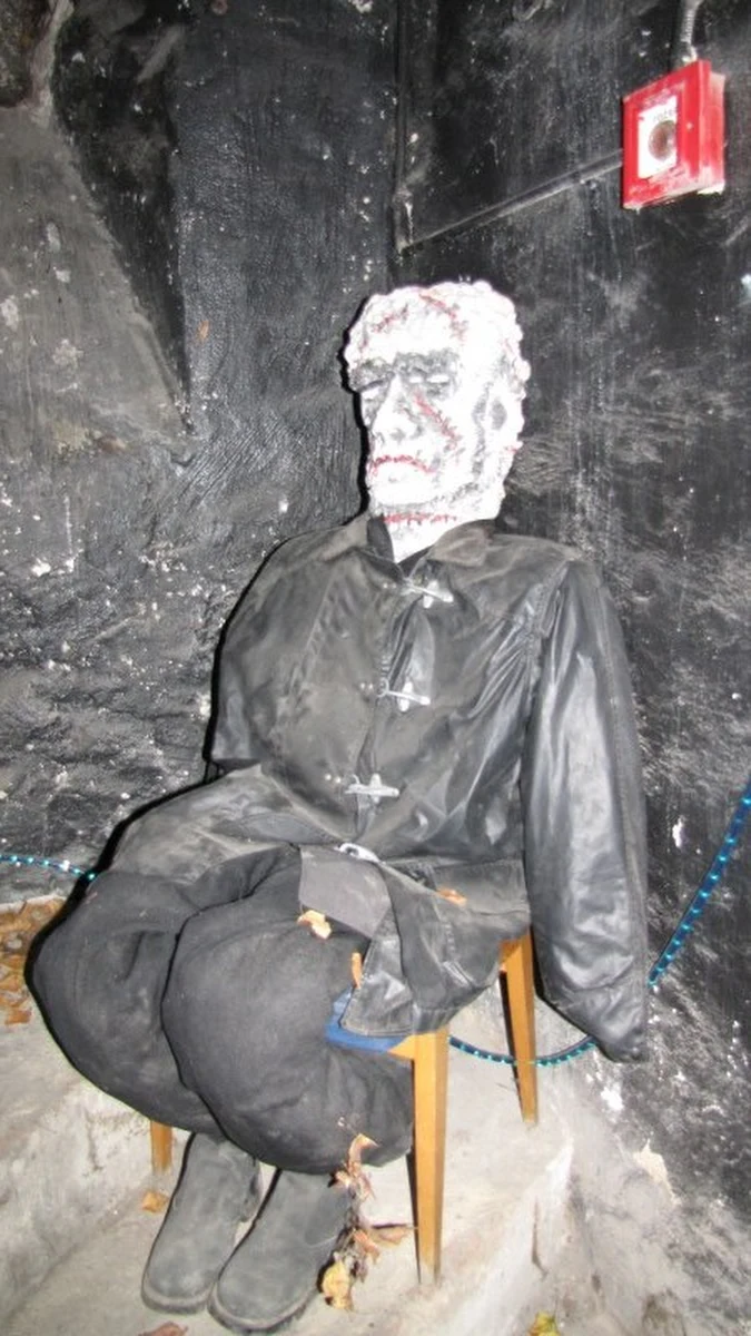 Ząbkowice Śląskie, od momentu założenia w II połowie XIII w. aż do 1945 r. nosiły nazwę Frankenstein. Nazwę tę "przywieźli" prawdopodobnie ze sobą pierwsi osadnicy - założyciele miasta, pochodzący z Frankonii - krainy historycznej Niemiec nad środkowym Renem.