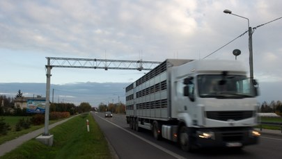 GDDKiA nakazała zwrócić pieniądze transportowcom