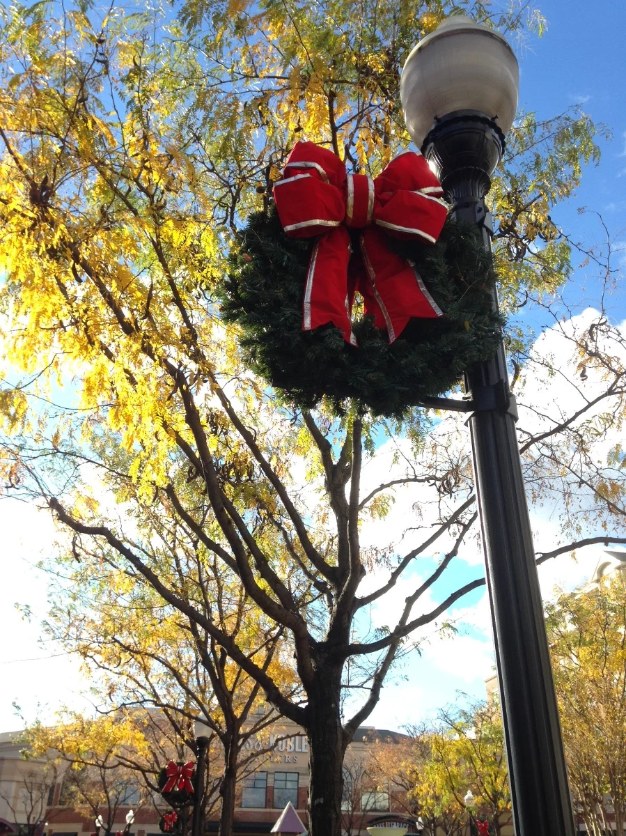 Bożonarodzeniowy sezon w USA został już oficjalnie otwarty. Dzień po Święcie Dziękczynienia w Stanach Zjednoczonych normą jest ubieranie choinek, dekorowanie domów i robienie świątecznych zakupów. 