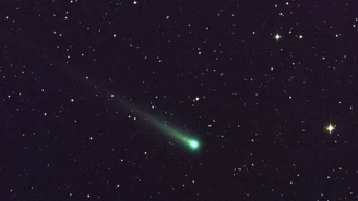 ISON nie będzie "kometą stulecia"