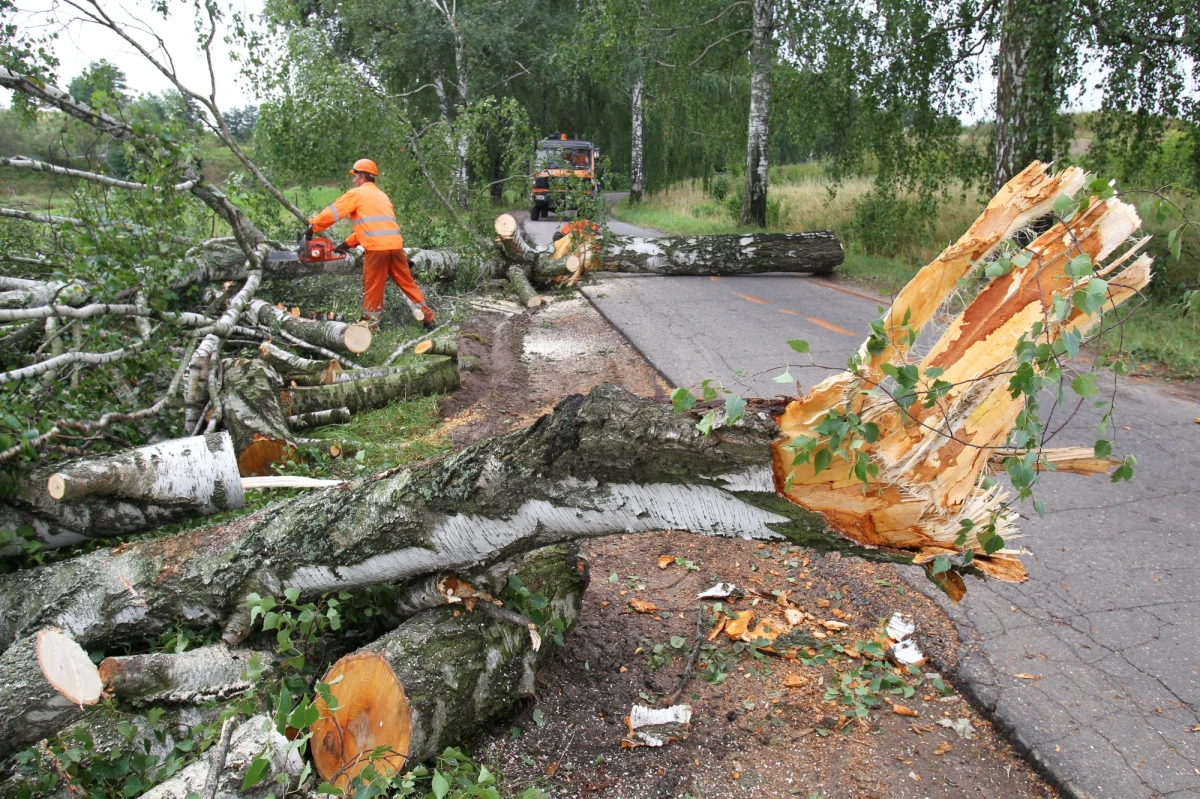 Mieszkańcy Wybrzeża i zachodniej Polski powinni przygotować się na bardzo silny wiatr. W nocy z czwartku na piątek miejscami może wiać z prędkością 135 km/h - ostrzegają już teraz synoptycy. Przy takich porywach możemy mówić o huraganie. 