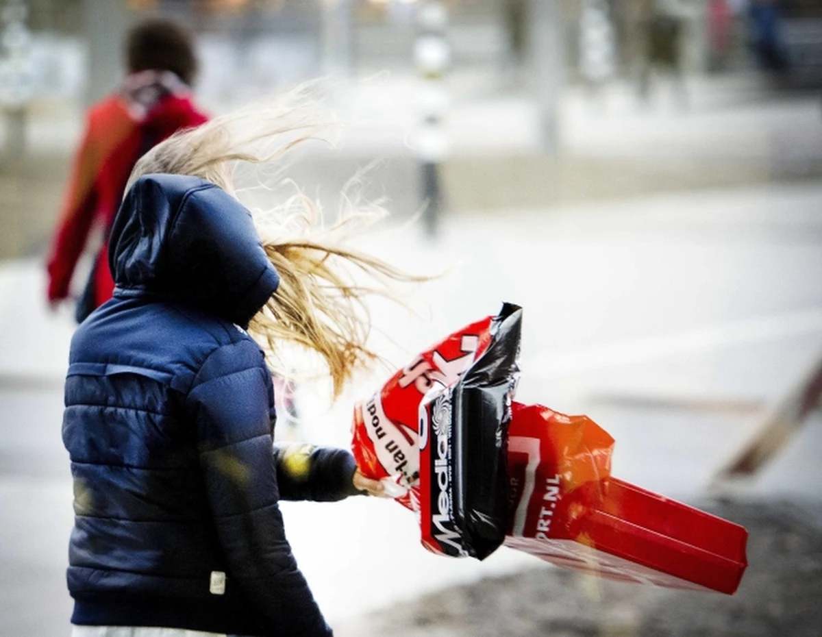 Pomorskie Kuratorium Oświaty wysłało do dyrektorów szkół i przedszkoli w województwie pismo, w którym przypomniało, że z powodu wichury mogą oni odwołać zajęcia. Nawet gdyby doszło do zawieszenia zajęć, placówki mają być czynne.  