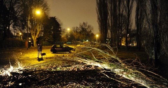 Silny wiatr na Wybrzeżu sprawi, że nastąpić może gwałtowny wzrost poziomu wód – zapowiadają przedstawiciele Instytutu Meteorologii i Gospodarki Wodnej (IMGW). Silny wiatr w Polsce będzie się utrzymywał do soboty. 