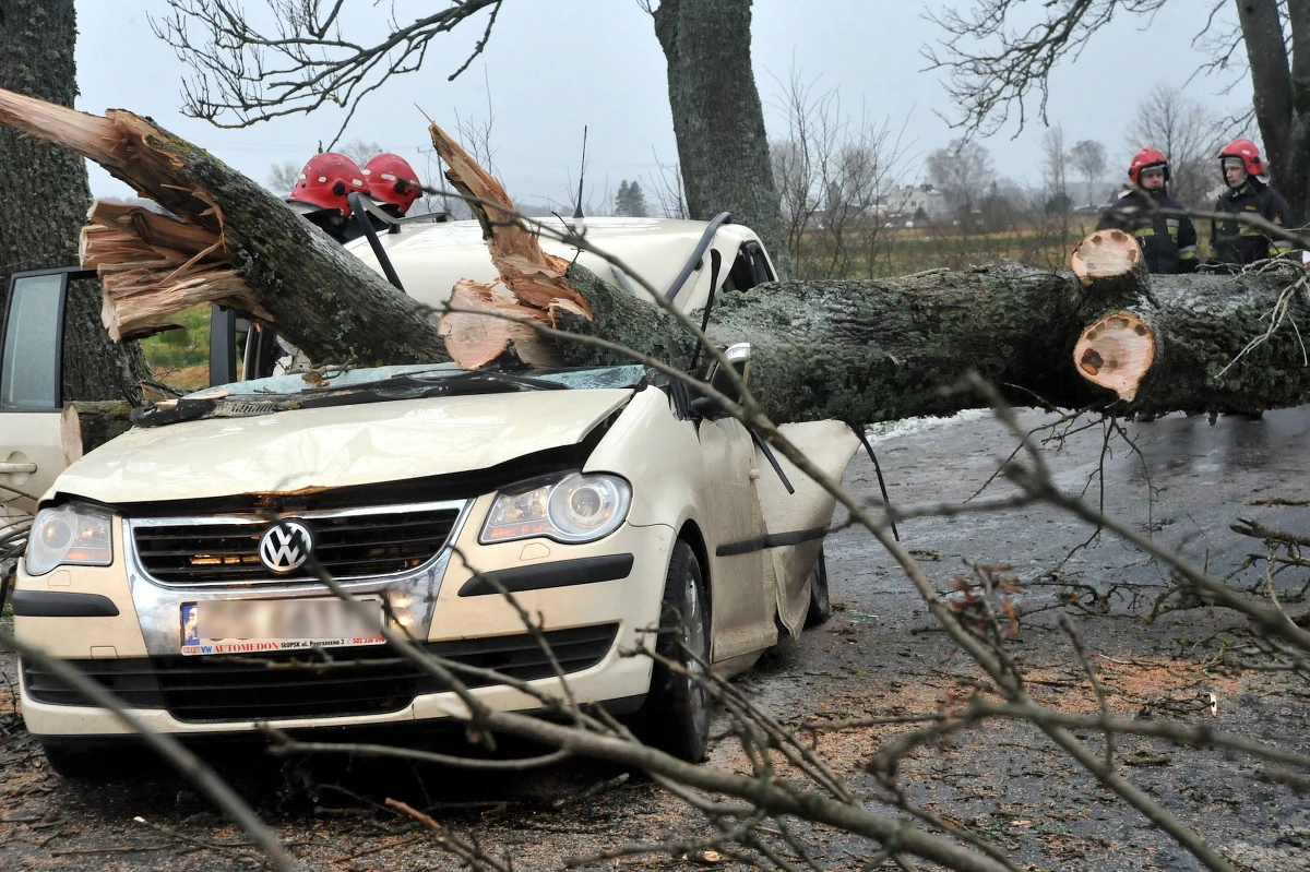 Trzy osoby zginęły w powiecie lęborskim na Pomorzu w samochodzie, na który z powodu silnego wiatru zwaliło się drzewo. Jedną osobę ranną odwieziono do szpitala. 