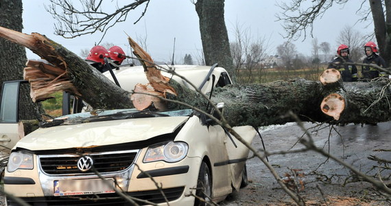 Trzy osoby zginęły w powiecie lęborskim na Pomorzu w samochodzie, na który z powodu silnego wiatru zwaliło się drzewo. Jedną osobę ranną odwieziono do szpitala. 