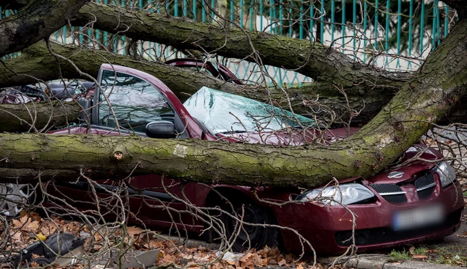 Huragan Ksawery nad Polską: Pięć ofiar, brak prądu, utrudnienia w ruchu