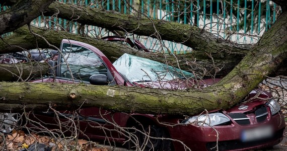 Pięć osób nie żyje, ponad 400 tys. mieszkań bez prądu, uszkodzonych ponad 30 budynków, zablokowane drogi i trasy kolejowe - to bilans Ksawerego szalejącego nad Polską. Na Gorącą Linię RMF FM dostawaliśmy dziesiątki informacji o wypadkach i utrudnieniach. W niektórych regionach tworzyły się ogromne korki, w których kierowcy byli uwięzieni nawet po kilkanaście godzin. 