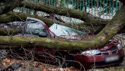 Paraliż na drogach. Rośnie liczba ofiar szalejącego nad Polską huraganu 