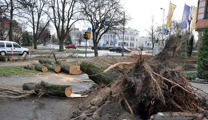 Dziesiątki tysięcy odbiorców wciąż bez prądu. Trwa szacowanie strat