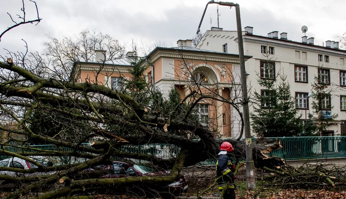 Około 36 tys. odbiorców jest pozbawionych prądu 