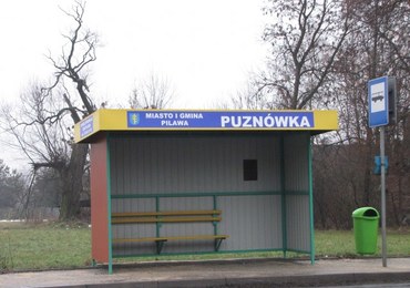 Feralne skrzyżowanie w Puznówce 