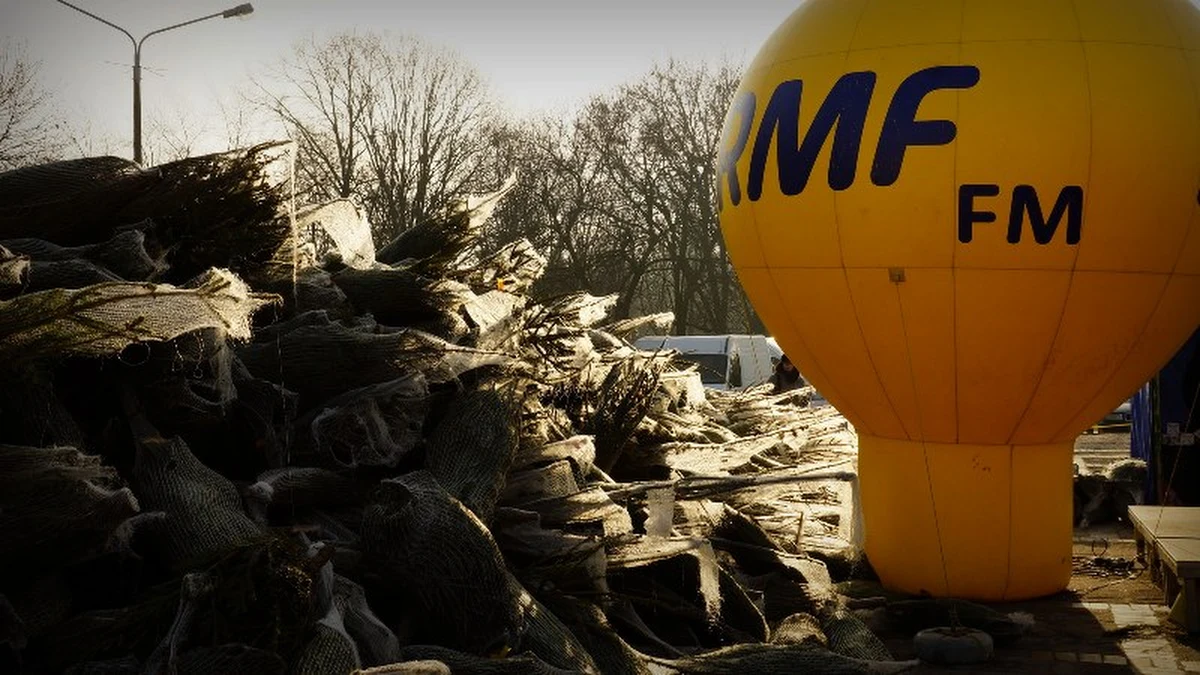 "Choinki pod choinkę" zawitały dziś do Łodzi. Rozdawanie drzewek rozpocznie się tradycyjnie o godzinie 11. Czekamy na Was na Starym Rynku. Przyjdźcie po pachnące drzewko i weźcie udział w naszym konkursie karaoke!