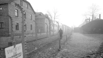 Auschwitz przed sądem 