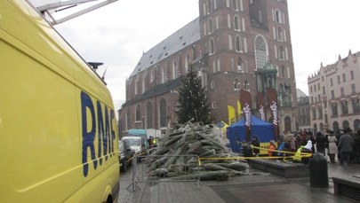Pachnące drzewka od RMF FM na krakowskim Rynku Głównym