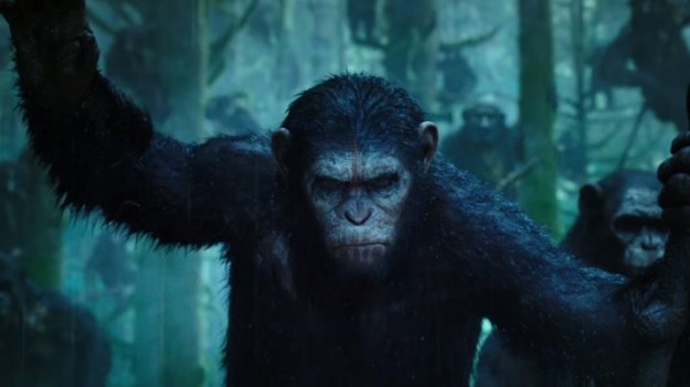 Grupa naukowców z San Francisco toczy bój z inteligentnymi małpami, które starają się zdominować ludzką rasę.