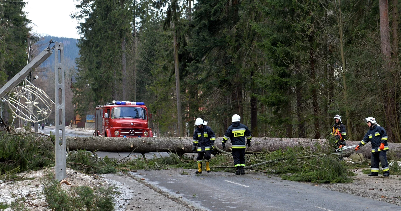 Na zdjęciu strażacy pracujący przy usuwaniu drzew powalonych przez wiatr w Zakopanem