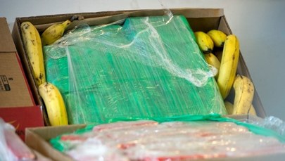 Kokainowa kontrabanda w pudełkach z bananami