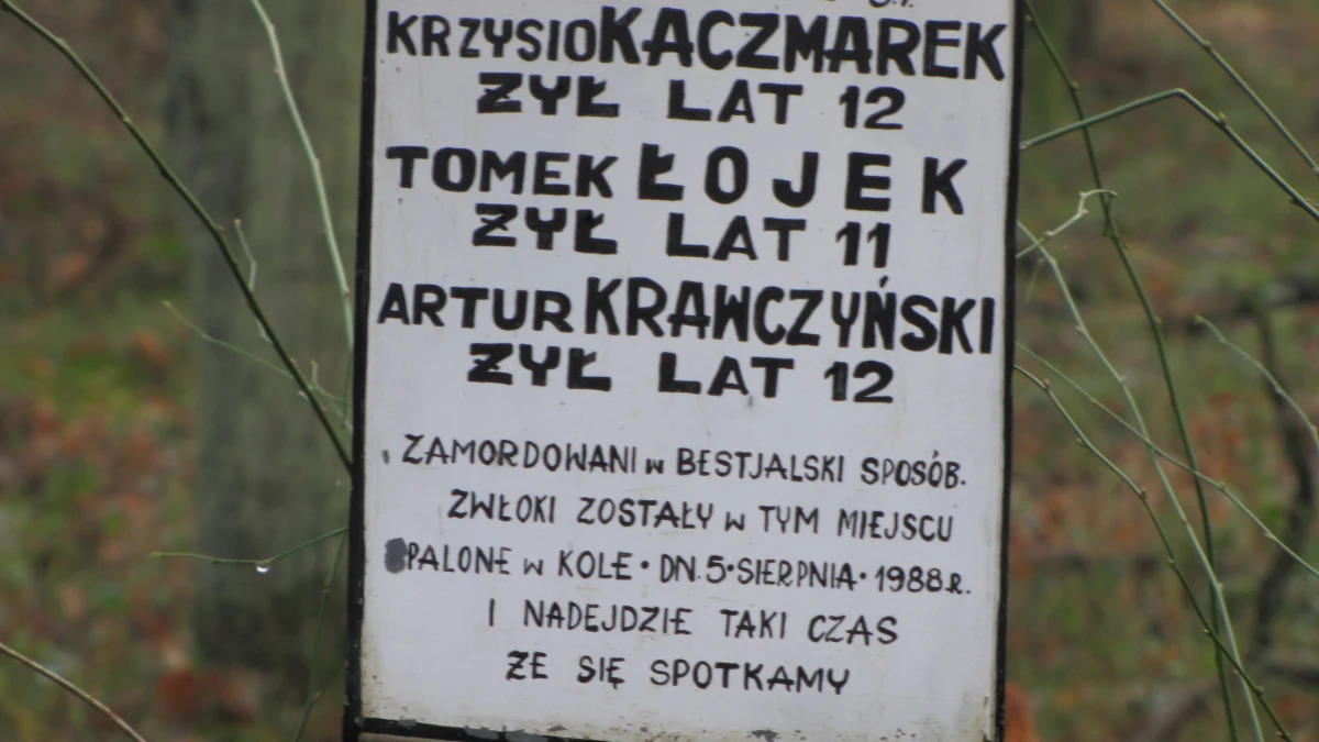 W wyniku urzędniczej opieszałości Mariusz Trynkiewicz, pedofil-morderca już w przyszłym miesiącu może wyjść na wolność. Okazuje się, że dopiero wczoraj ustawa o postępowaniu wobec osób z zaburzeniami psychicznymi stwarzających zagrożenie życia, zdrowia lub wolności seksualnej została opublikowana w Dzienniku Ustaw. Prawo mówiące o leczeniu w ośrodku zamkniętym sprawców najgroźniejszych zbrodni po odbyciu przez nich kar wejdzie w życie dopiero za dwa tygodnie. Może na tym skorzystać właśnie Trynkiewicz, który w połowie lutego odzyska wolność. 
