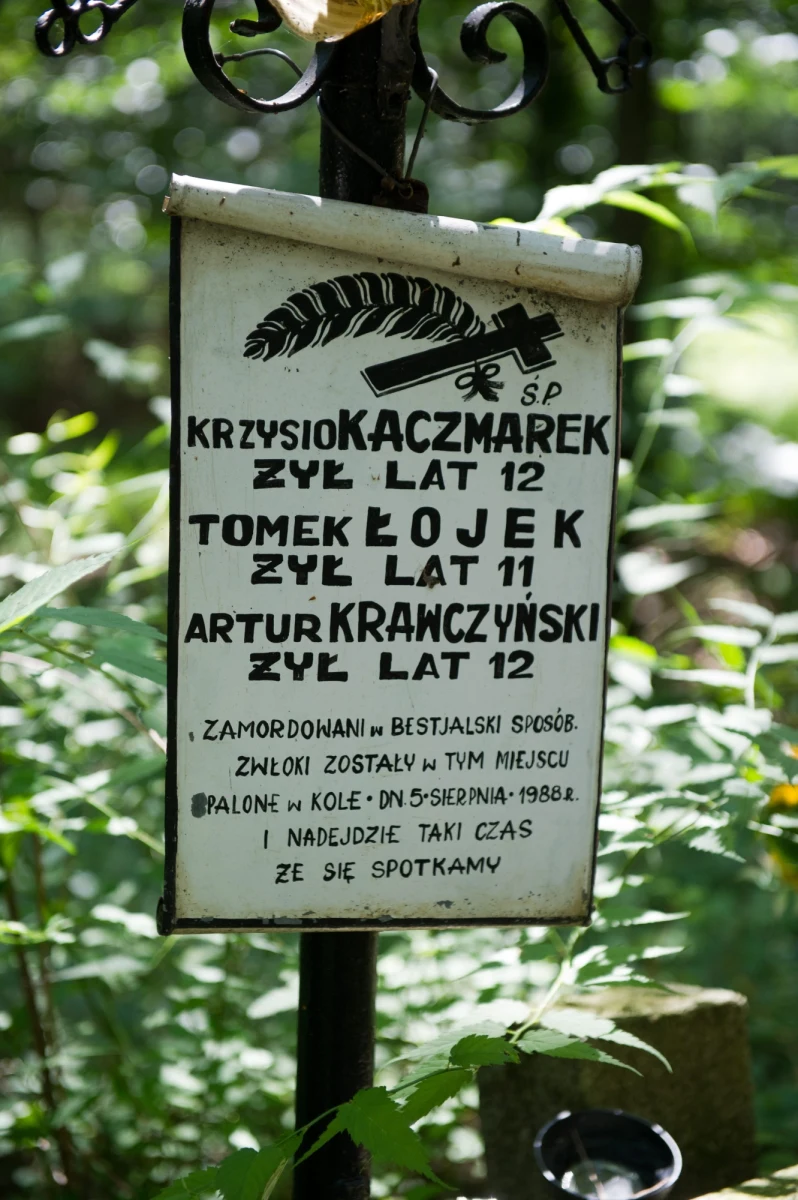 "Traktujemy każdego skazanego po wyroku tak samo i nie ma podstaw prawnych, by wziąć pod specjalny nadzór wybranego z nich" - tak mówi w rozmowie z RMF FM rzecznik policji Mariusz Sokołowski. Wcześniej minister 
sprawiedliwości Marek Biernacki powiedział RMF FM, że policja będzie nadzorować najgroźniejszych przestępców, którzy opuszczą więzienia. Chodzi m.in. o Mariusza Trynkiewicza. Ten pedofil-morderca może wyjść na wolność mimo uchwalonej tzw. ustawy o bestiach. 