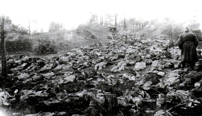 Pastusiak: USA powinny przeprosić za milczenie w sprawie Katynia