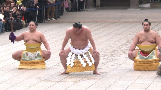 Tytuł Wielkiego Mistrza Sumo przysługuje tylko najlepszym zapaśnikom. Mongolscy siłacze - Harumafuji i Hakuho - publicznie prezentowali swoją siłę podczas noworocznego rytuału w tokijskim sanktuarium Meiji.