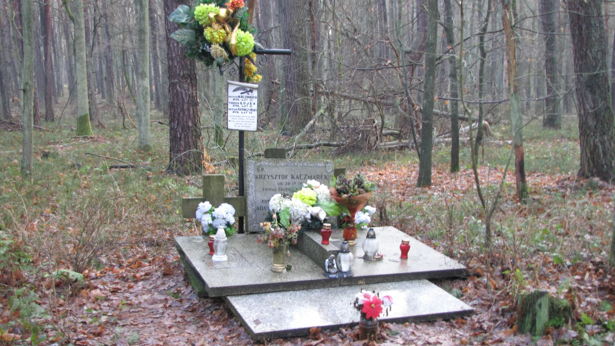 "Sprawdziliśmy dokładnie jedynego kolegę Mariusza Trynkiewicza. Miał niepodważalne alibi. Podejrzanym stał się ojciec, bo pojawiały się pogłoski o tym, że Trynkiewicz nie miał prawa jazdy, a w związku z tym i pytania, jak mógł wywieźć zwłoki dzieci do lasu. Sprawdziliśmy, czy potrafi jeździć. Potwierdzam - potrafi" - opowiada reporterce RMF FM Andrzej Matuszczyk, były milicjant, który pracował przy sprawie zabójstwa trzech ofiar mordercy-pedofila. Sugestie, że Trynkiewicz mógł mieć wspólnika wysunął Eugeniusz Iwanicki, autor książki "Proces Szatana". "Nie znaleźliśmy na to żadnych dowodów" - ucina Matuszczyk.