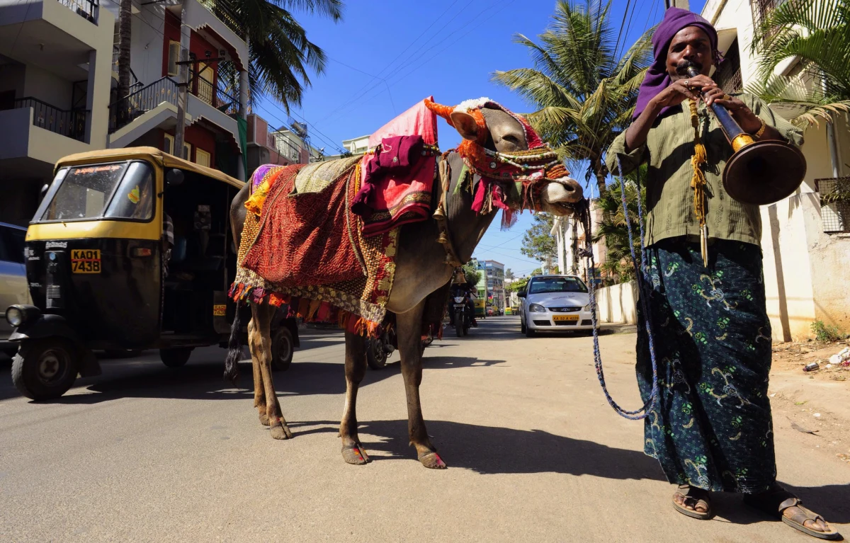 Duńska turystka została zbiorowo zgwałcona w pobliżu popularnej dzielnicy handlowej w stolicy Indii, Delhi. Kobieta została napadnięta, gdy się zgubiła i zapytała o drogę do hotelu - poinformowała tamtejsza policja. 