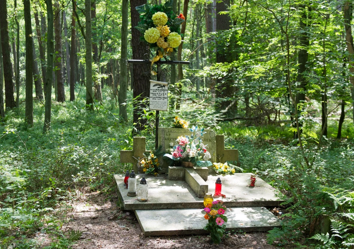 Pedofil-morderca Mariusz Trynkiewicz, który został skazany za zabicie czterech chłopców, może - po wyjściu z więzienia - być objęty programem ochrony podobnym do tego, z jakiego korzystają świadkowie koronni. Bierze to pod uwagę komendant główny policji Marek Działoszyński. 