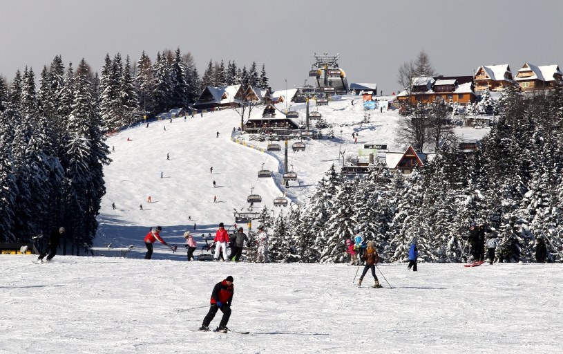 W góry, Nad morze, Do rodziny, Za granicę, Nigdzie