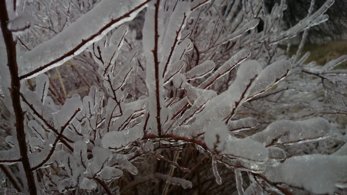 Zimno, zimniej, mroźno - najbliższe dni przyniosą wyraźne ochłodzenie. Najzimniej ma być na północnym-wchodzie Polski. Na Podlasiu termometry mają wskazywać w ciągu dnia nawet minus 12, minus 13, a w nocy nawet minus 16 stopni Celsjusza. W środę ma też sypnąć śniegiem, zwłaszcza na południu kraju. Synoptycy ostrzegają zwłaszcza przed gołoledzią, niewykluczone są też zamiecie śnieżne. 