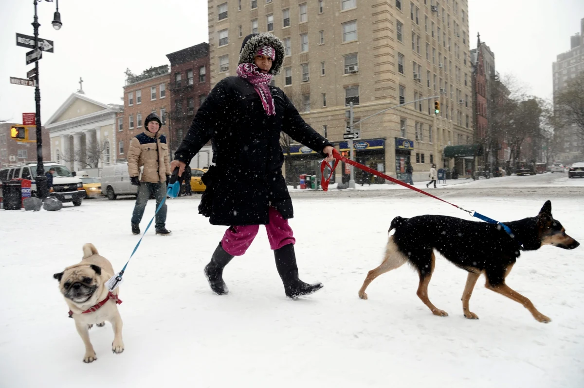 Tysiące odwołanych lotów, pozamykane szkoły i urzędy, także biura rządu federalnego w rejonie Waszyngtonu, to skutki ataku zimy na wschodnim wybrzeżu Stanów Zjednoczonych. Meteorolodzy ostrzegają przed obfitymi opadami śniegu i siarczystym mrozem. Według nich, mogą to być opady, jakich nie było w tym regionie od 30 lat. 