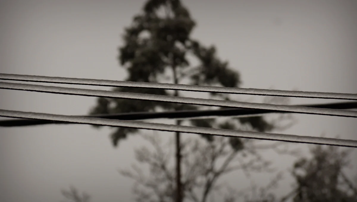 Przynajmniej do środy potrwa usuwanie awarii prądu w województwie świętokrzyskim. Nadal energii elektrycznej pozbawionych jest tam co najmniej 5 tysięcy gospodarstw. Niektóre miejscowości, m.in. w rejonie Skarżyska-Kamiennej, nie mają prądu od prawie dwóch dni. Do poważnych awarii doszło także na Lubelszczyźnie i Podkarpaciu.