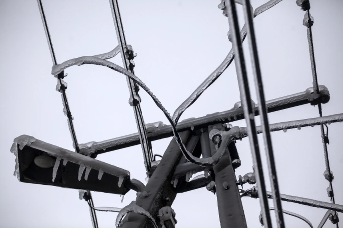 W nocy energetykom udało się przywrócić dostawy prądu do 4 tys. odbiorców w Świętokrzyskiem. Energii elektrycznej nie ma jednak wciąż 8 tys. gospodarstw, głównie w północnej części województwa.