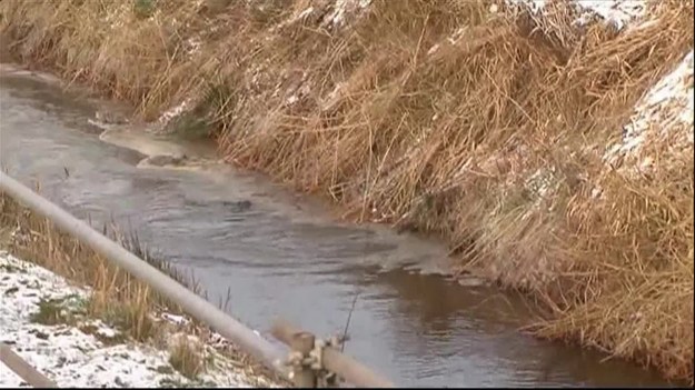 Pęknięty zawór zbiornika spowodował wyciek blisko 4 milionów litrów gnojowicy niedaleko niemieckiego miasta Hamburg. Wyciek ten stanowił poważne zagrożenie dla okolicznych jezior i strumieni. W akcji ratunkowej uczestniczyło ponad 100 strażaków i specjaliści od materiałów niebezpiecznych. Strażacy budowali specjalne ściany ziemi, które miały zatrzymać rozprzestrzenianie się tej "śmierdzącej powodzi". Zamknięta została także pobliska autostrada.