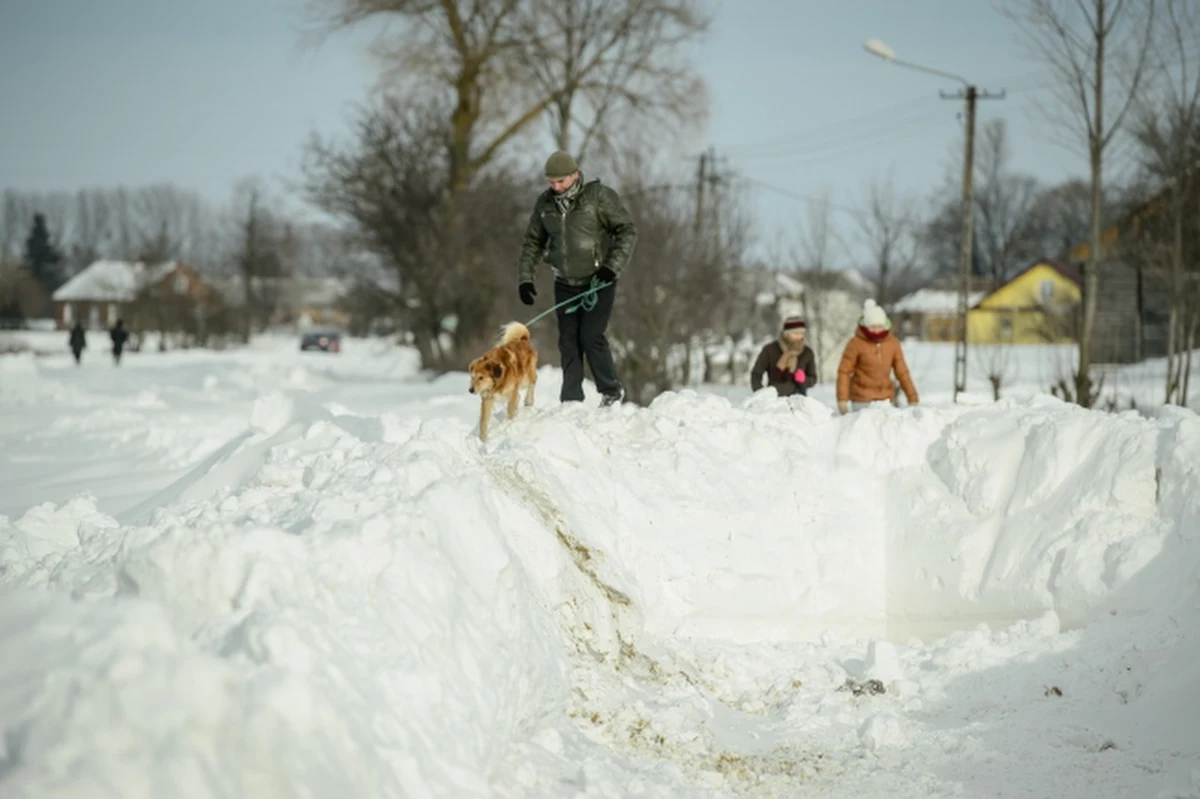 Klikanaście procent dróg lokalnych w okolicach Hrubieszowa na Lubelszczyźnie wciąż jest nieprzejezdnych - informuje reporter RMF FM Krzysztof Kot. Minister administracji i cyfryzacji Rafał Trzaskowski zapewnia, że sytuacja jest już pod kontrolą i w ciągu doby wszystkie drogi w powiecie powinny być już odśnieżone. 