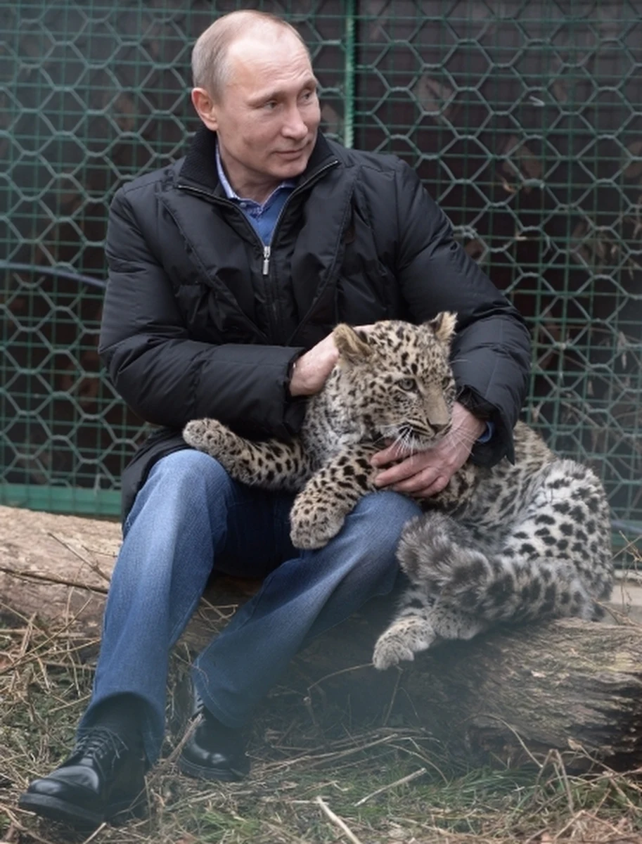 „Igrzyska olimpijskie w Soczi stały się dobrą okazją do poprawy sytuacji ekologicznej w regionie” - powiedział Władimir Putin, który odwiedził pod Soczi centrum hodowli lampartów. Rosyjski przywódca dał się sfotografować z jednym z wielkich kotów. „Kocham zwierzęta. Wyczuwam je” – stwierdził. 